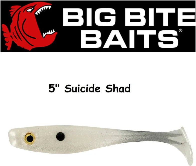 Big Bite Bait Suicide Shad 5”