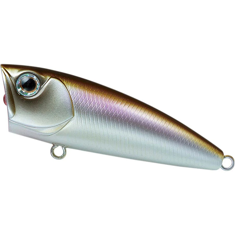 Daiwa Steez popper 50f