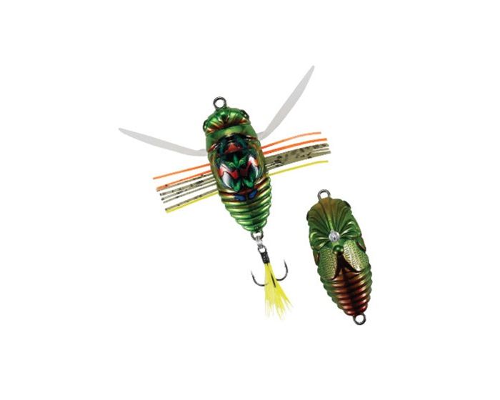 Duo International Realis Shinmushi Kinkame 40mm Cicada