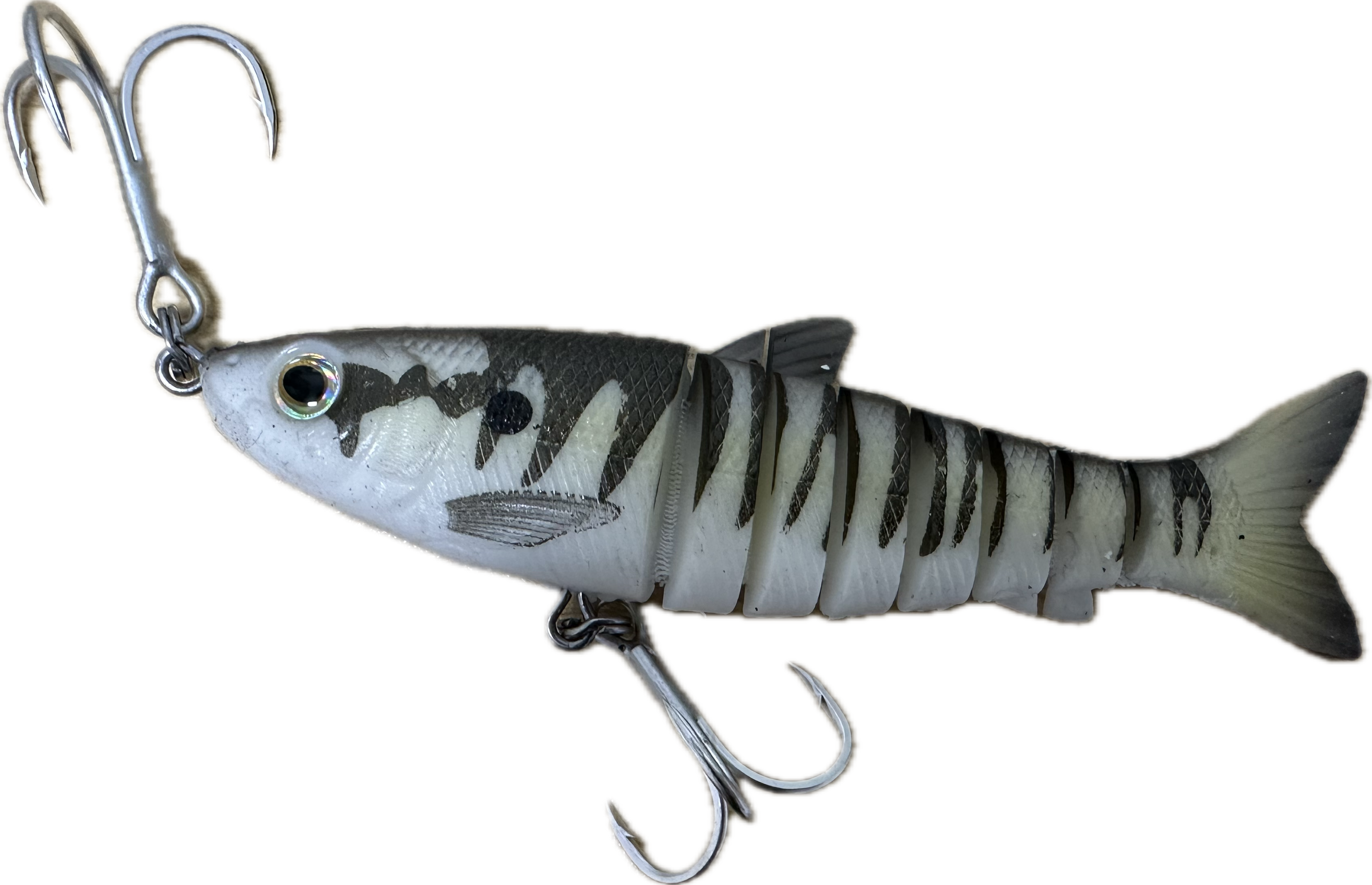 Shads Lures 6” Jointed Boney – The Tackle Box