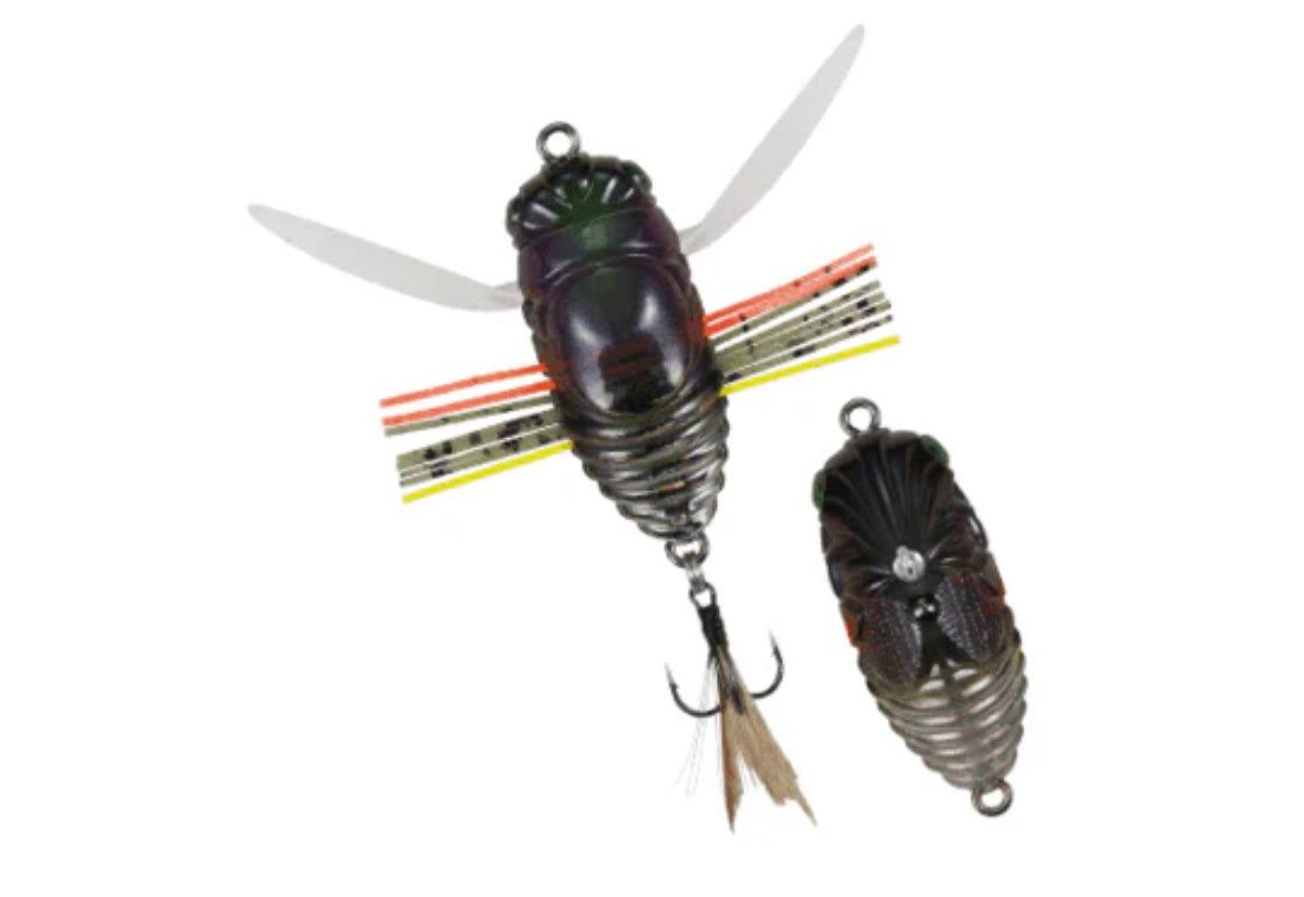 Duo International Realis Shinmushi Kinkame 40mm Cicada