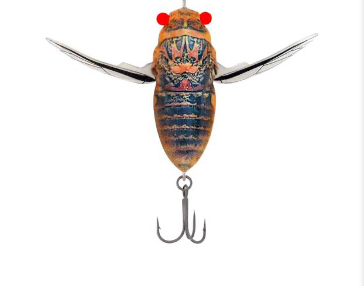 Samaki Redic Cicada 50mm