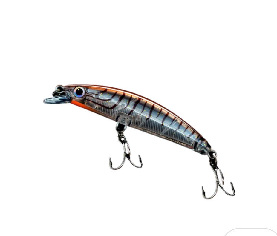Malosi micro minnow 65f mo miso