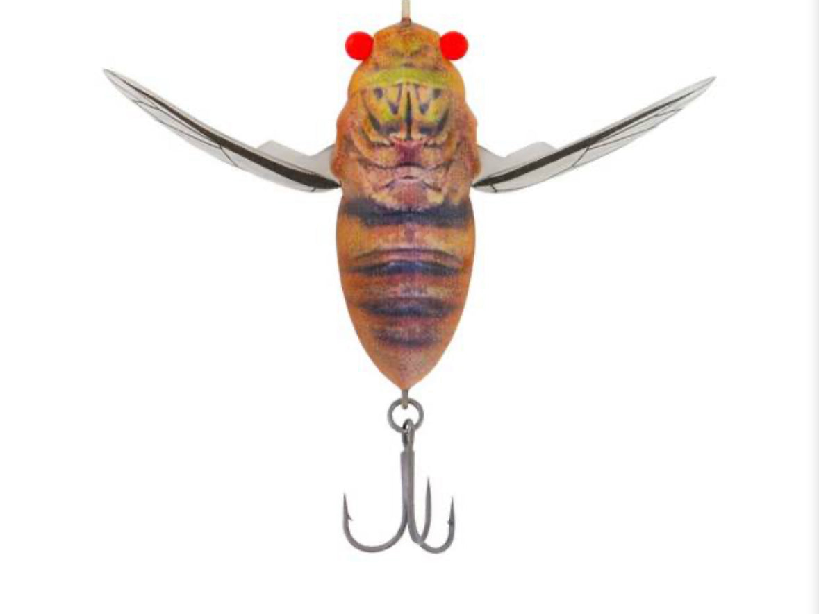 Samaki Redic Cicada 50mm