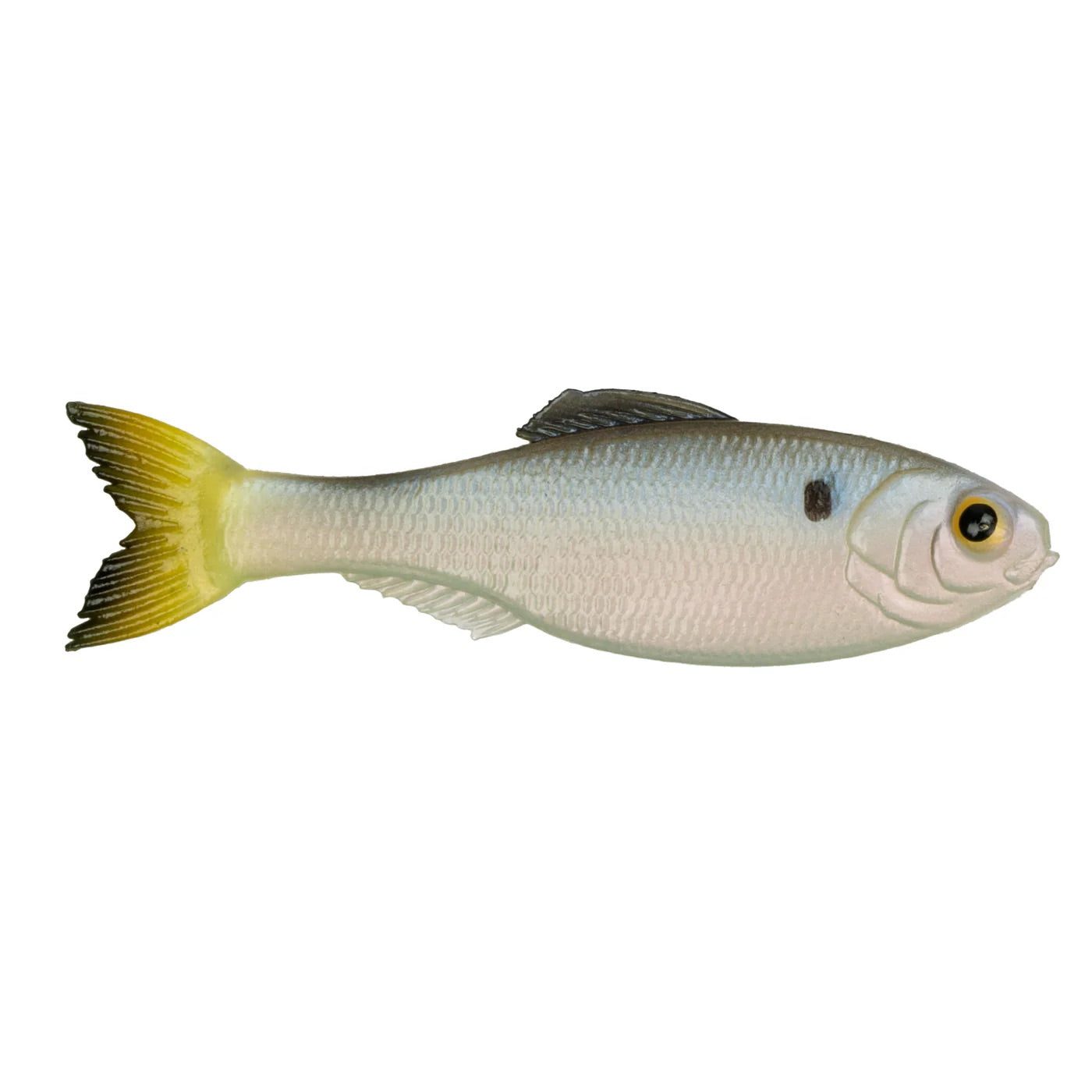 6th Sense Panorama 6.5” Clearwater Shad