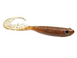 Damiki loach 5 “