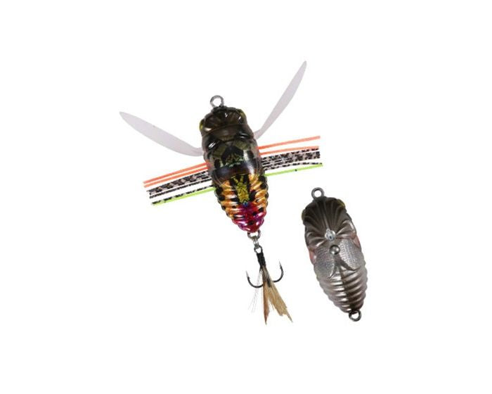 Duo International Realis Shinmushi Kinkame 40mm Cicada