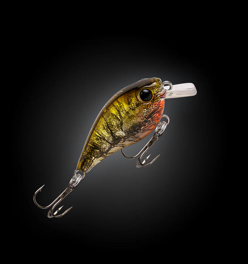 Fishcraft B-Cranky 38mm shallow