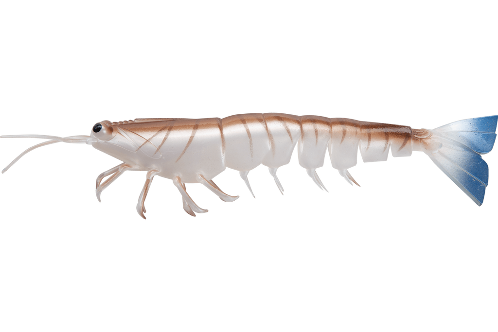 Irukandji Megaprawn 8”