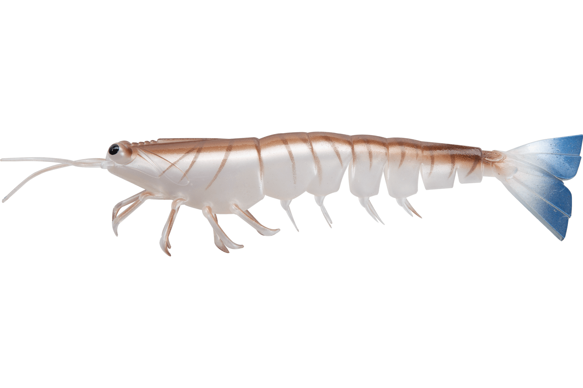 Irukandji Megaprawn 6.5"