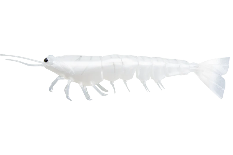 Irukandji Megaprawn 4"