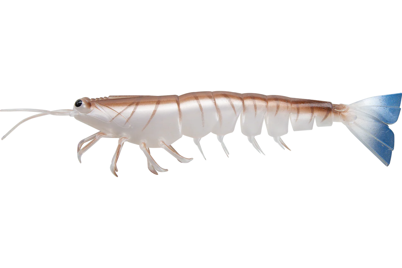 Irukandji Megaprawn 6.5"