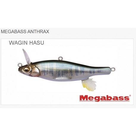 Megabass Anthrax