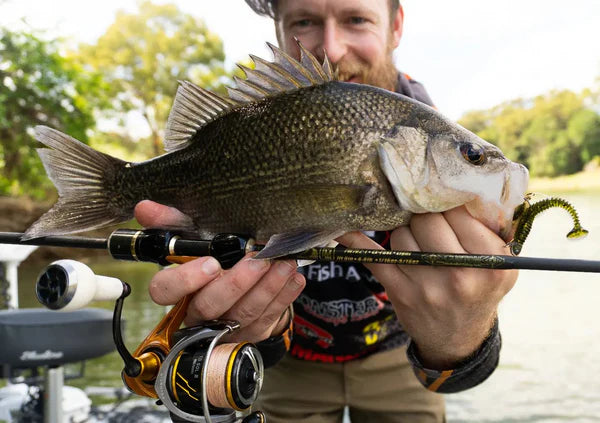 Damiki tachi shad 2.7”