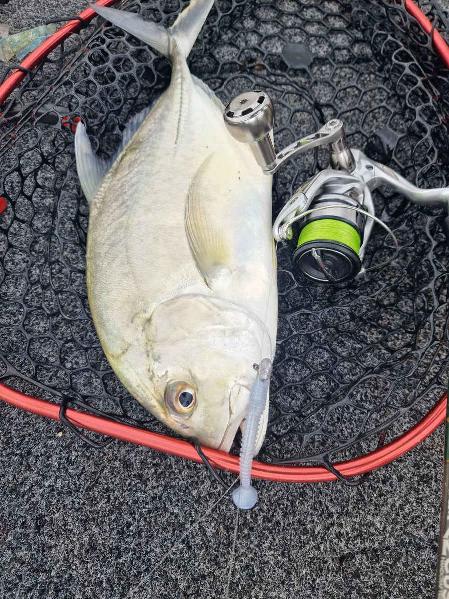 Damiki tachi shad 2.7”
