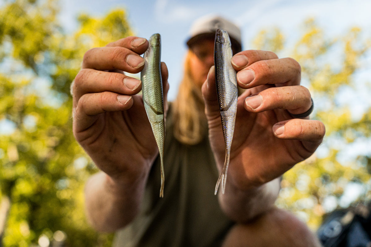 6th Sense Shindo Shad 6.0