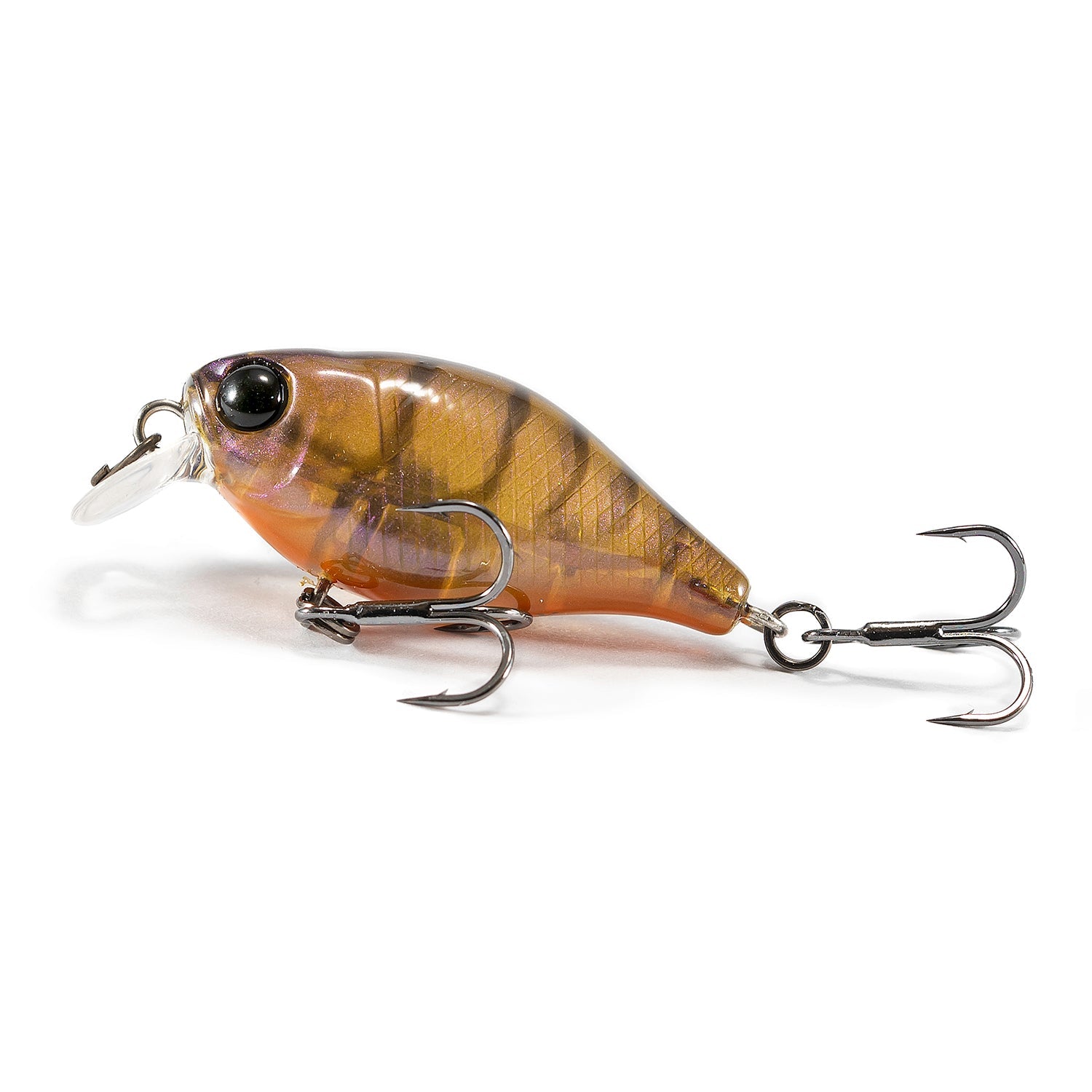 Jackall Diving Chubby 38F Shallow