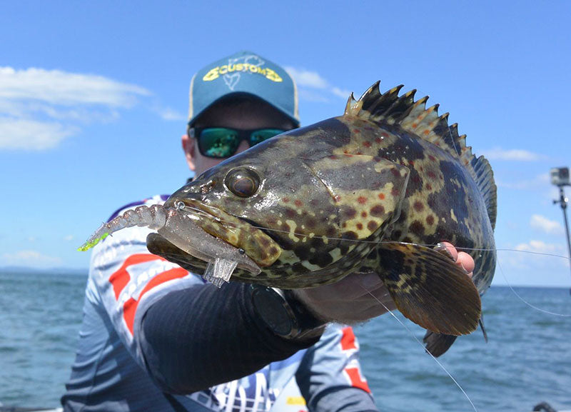 Marker 54 jerk prawn 1/4 oz pre rigged