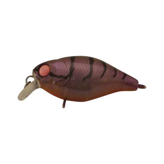 Jackall Diving Chubby 38F Shallow