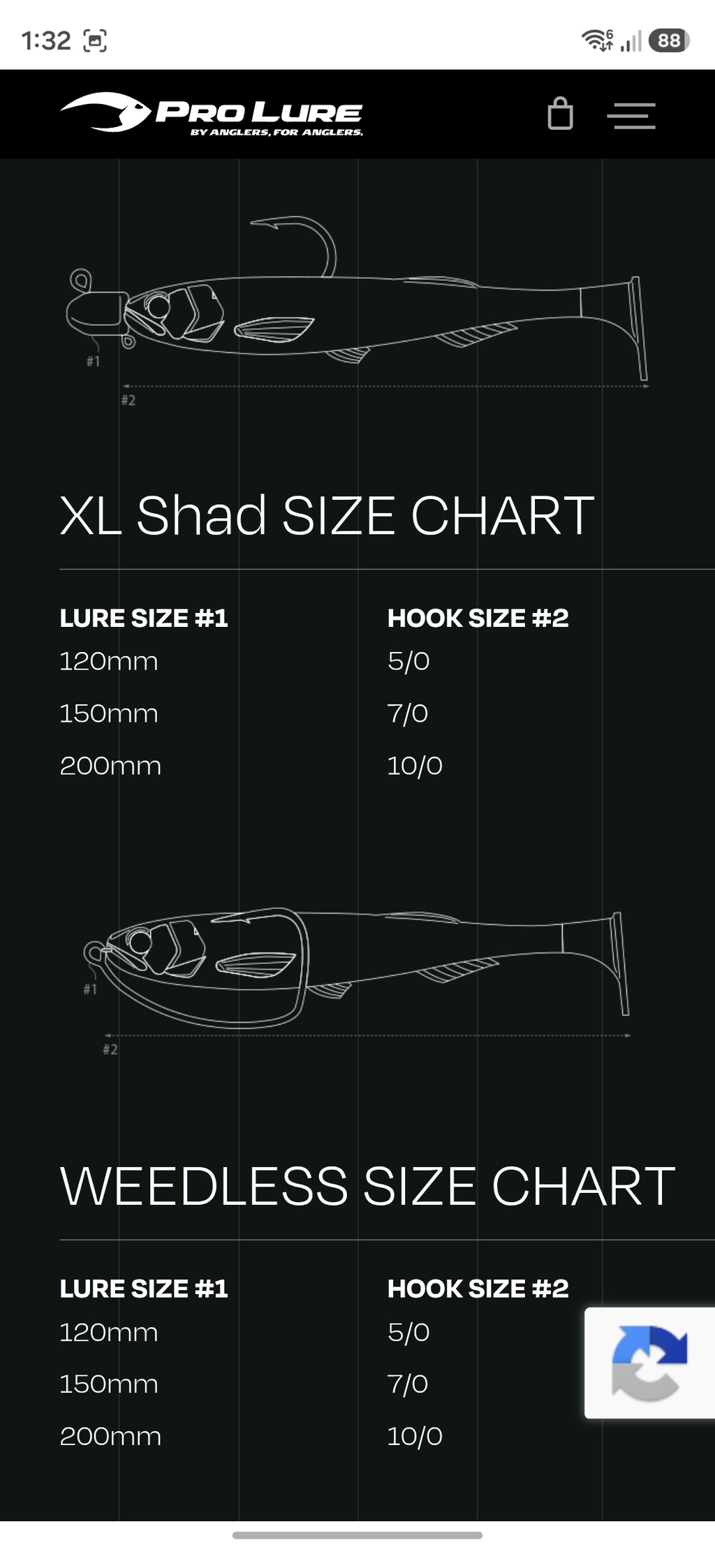 Pro Lure XL Shad - 200mm